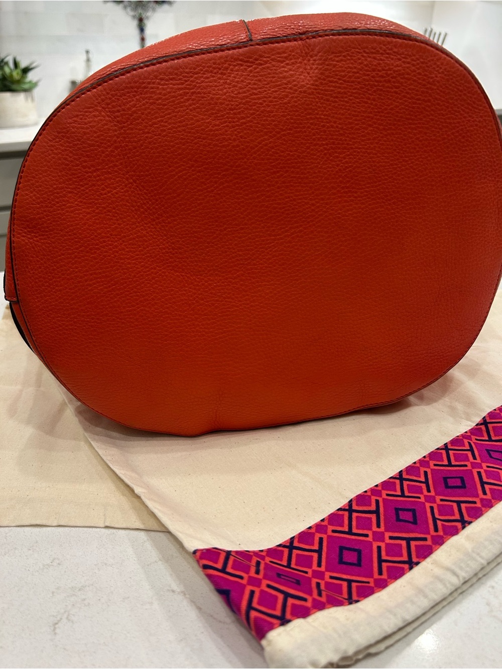 Tory Burch All T Poppy Leather Shoulder Hobo with Embossed Logo - Picture 12 of 12